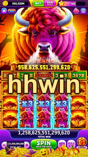 hhwin APK